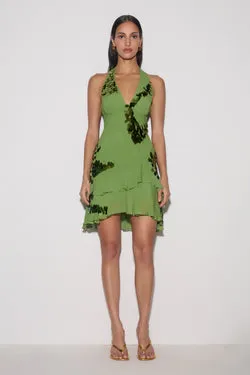 Aaliyah Sequin & Chiffon Mini Dress - Green