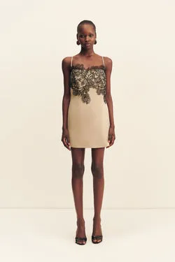 LUCIA LACE MINI DRESS - CHAMPAGNE/BLACK