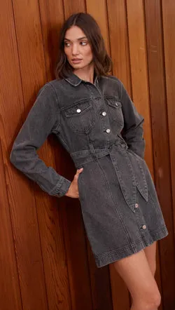 Mason Denim Mini Dress