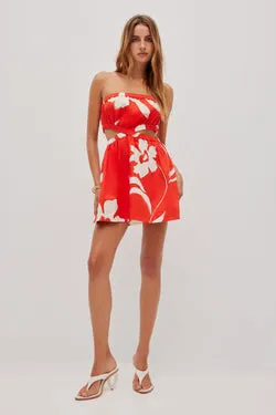 Mireya Strapless Mini Dress