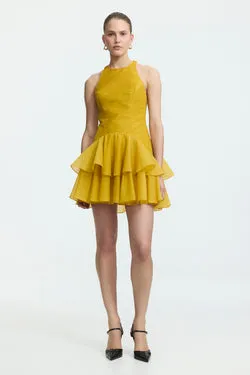Radiate Pleated Mini Dress