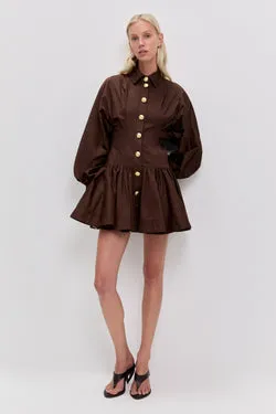 Alexa Long Sleeve Mini Dress