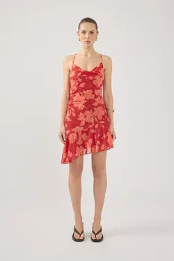 Perfect Stranger Zinna Mini Dress Red Print