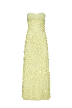 Enchantment Balconette Dress