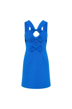 Antonella Mini Dress