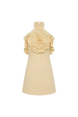 Aubriella Mini Dress
