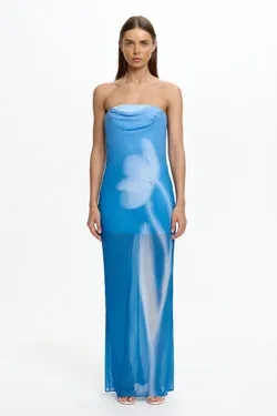 Zhavia Strapless Maxi Dress