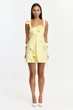 REEVE MINI DRESS