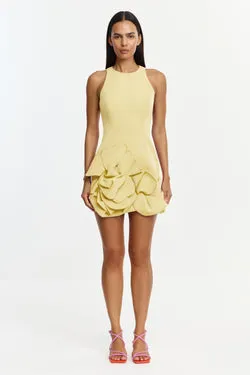 TANTANI MINI DRESS