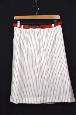 Striped Skirt