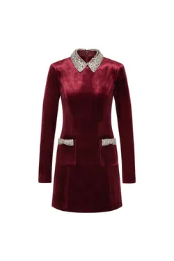 Edwiena Long Sleeve  Mini Dress