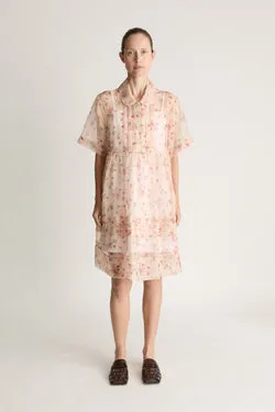 Emily Organza Mini Dress