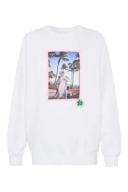 Dolphin Postcard Project Sweater