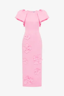 Lucinda Floral Appliqué Maxi Dress - Baby Pink