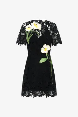 Margot Embroidered Lace Mini Dress - Ebony