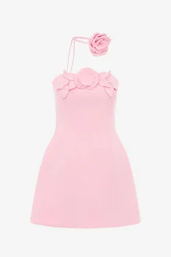 Roselle Appliqué Bustier Mini Dress - Blush Pink
