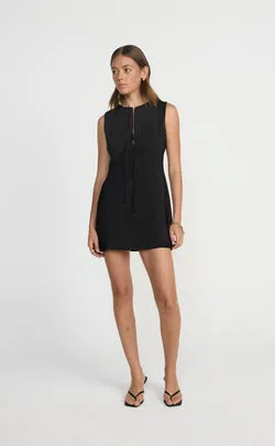 Caisey Mini Dress (Black)