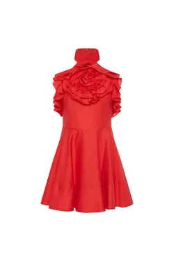 Pastèque Mini Dress