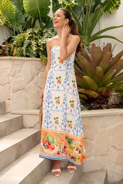 Frieda Maxi Dress in Multi Fruit Border Print