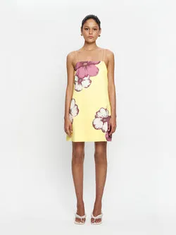 Paros Mini Dress