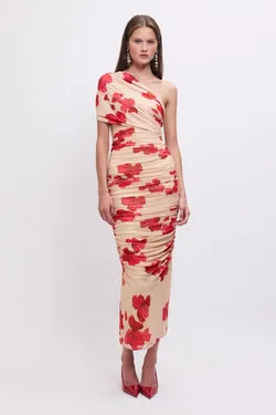 Suzie One-Shoulder Floral Mesh Maxi Dress