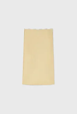 Mesh Skirt Shell